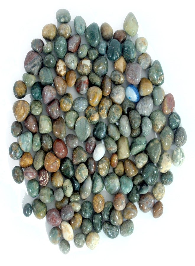 Schmick Pebbles for Decoration - Fancy Tumble Pebbles Stones for Fish Tank Aquarium, Fountain, Table Decor - Decorative Pebbles Stones and Vase Fillers - Pebbles for Plants Pots and Garden Decor (1.9 Kg, Fancy Tumble) - Image 2